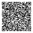 QR код "Тэсла"