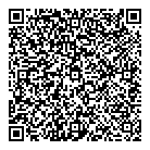 QR код "Тэсла"