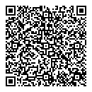 QR код "Тэсла"