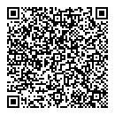 QR код "Тэсла"