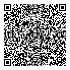 QR код "Тэсла"