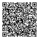 QR код "Domino"