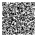 QR код "Блеск"