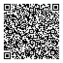 QR код "Глобус"