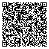 QR код "Gemini auto"