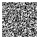 QR код "Litedisc.ru"
