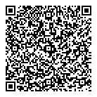 QR код "Домигрушки"