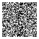 QR код "Мир"