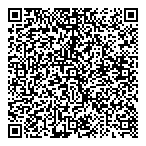 QR код "Серебряный диск"