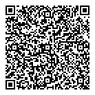 QR код "VIS1.RU"
