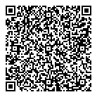QR код "Art Vinyl"