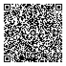 QR код "Dressy"