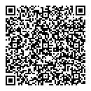 QR код "Аудит-Н"