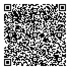 QR код "Серебряный слонъ"