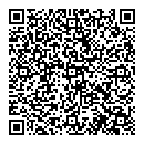 QR код "Торус"