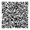 QR код "Пчелка"