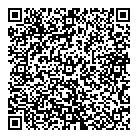 QR код "ДНС"