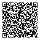 QR код "Блик"
