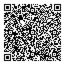 QR код "НЛО"