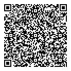 QR код "Профессионал"