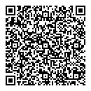 QR код "Level"