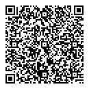 QR код "А 95"