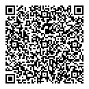 QR код "Луч"
