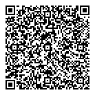 QR код "Тесла"