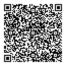 QR код "Тесла"