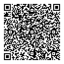 QR код "Art Vinyl"
