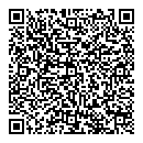 QR код "Art Vinyl"