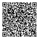 QR код "Art Vinyl"