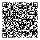 QR код "Art Vinyl"