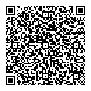 QR код "Art Vinyl"