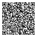 QR код "Art Vinyl"
