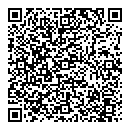 QR код "Art Vinyl"