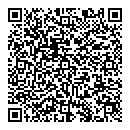 QR код "Art Vinyl"