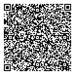 QR код "Профессионал"