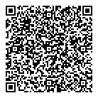 QR код "Аэлита"