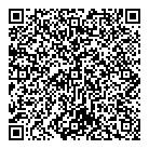 QR код "Ромашка"