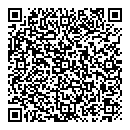 QR код "Алиса"
