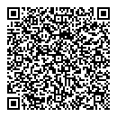 QR код "Art Vinyl"