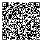 QR код "Кот в мешке"