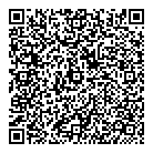 QR код "V Teme"