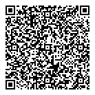 QR код "Vw polo sedan"