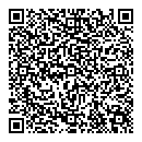 QR код "Snow Berry"