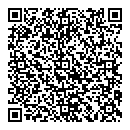 QR код "Professional"