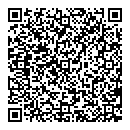QR код "Solo"