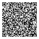 QR код "СВД"