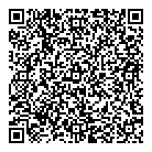 QR код "ДНС"